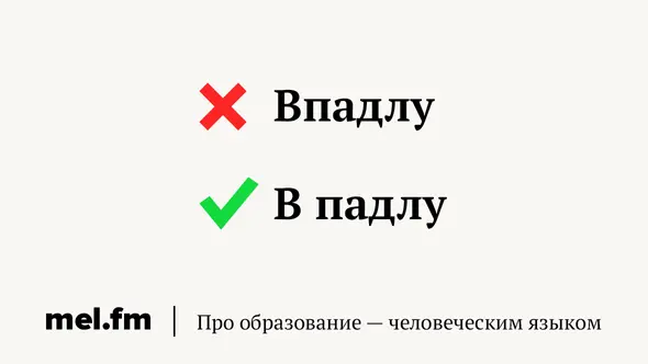 590.webp