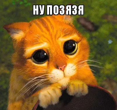 596e05ff5e608.webp