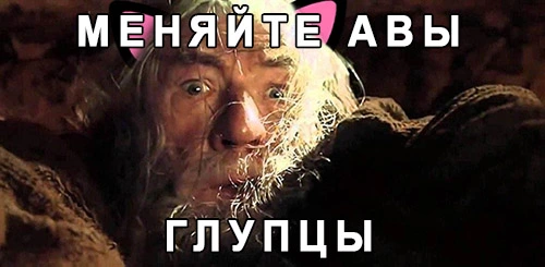 5b40b7.webp