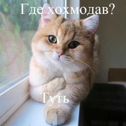 5b6a724efdfa222bfa8aa9ee73ada5d1.webp