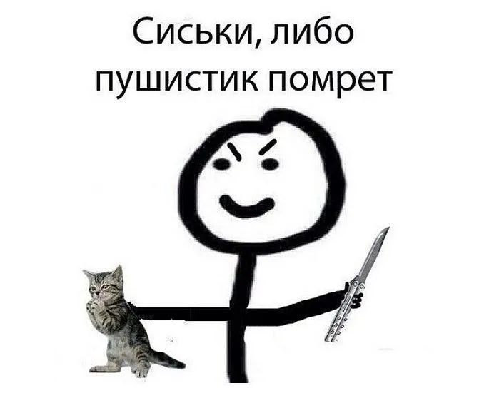 5bea51d6b39cdfb09aadd397888ff642.webp