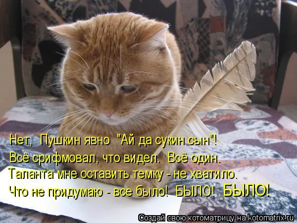 5fb783fb76.webp