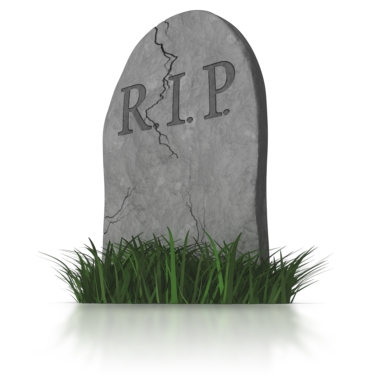 5fd8c423c5f13.webp