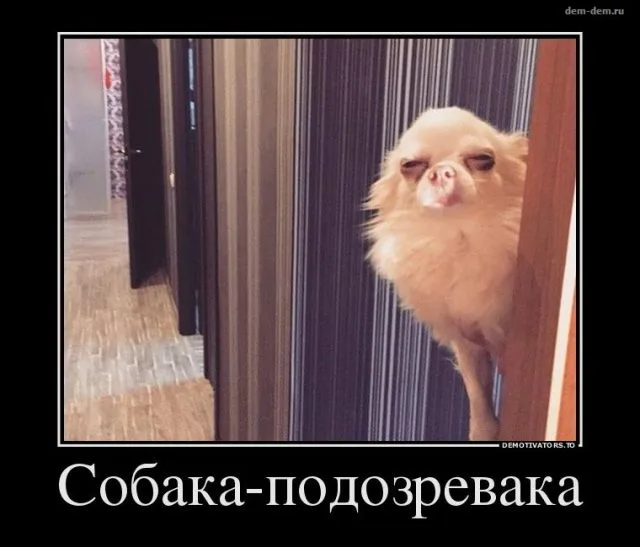 5japlziufzs-640x547.webp