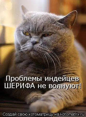 5q.webp