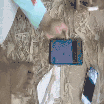 5tMOJ3n8DYRBG4Ly (1).gif