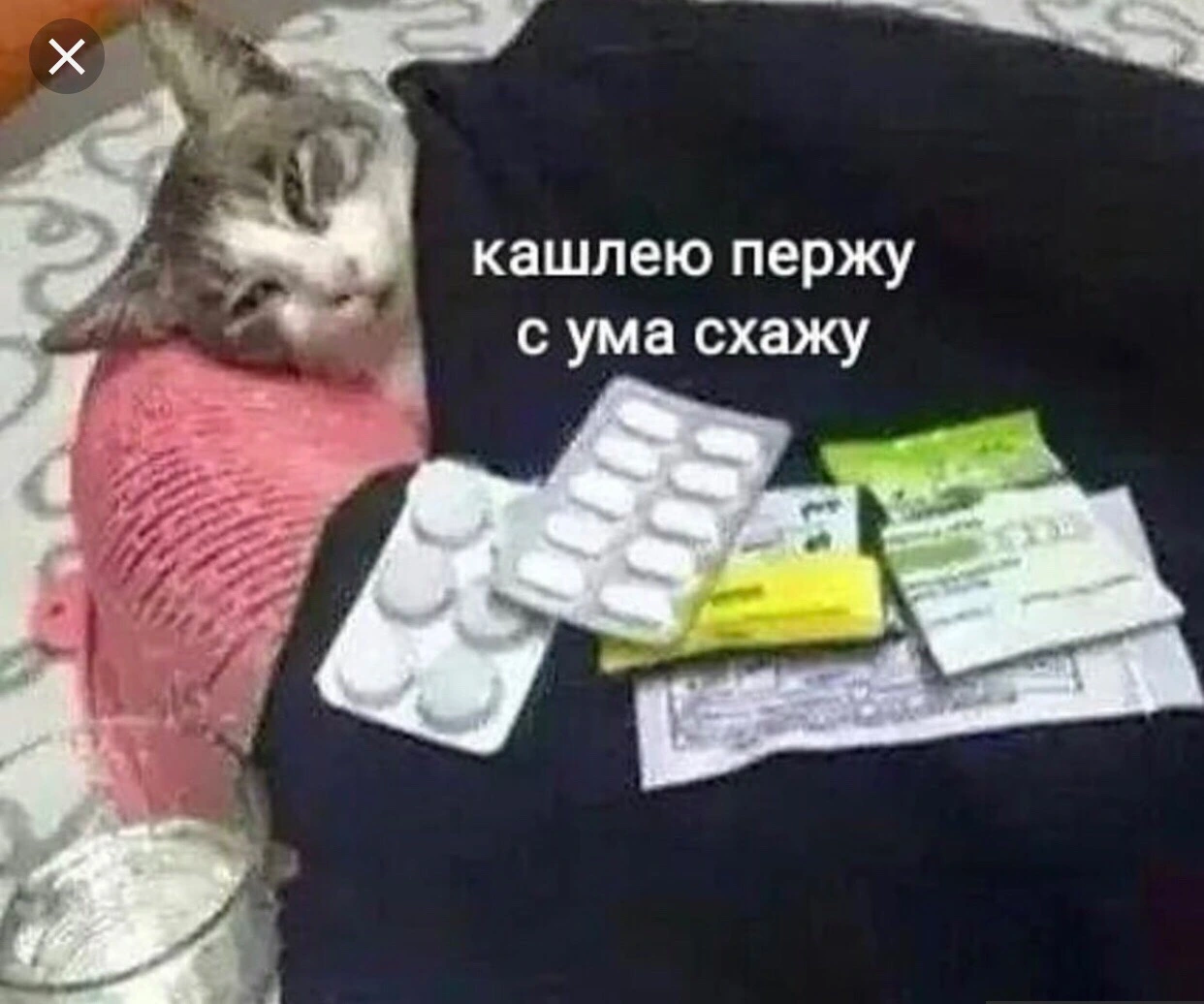 5VdJlsgOc58.jpg