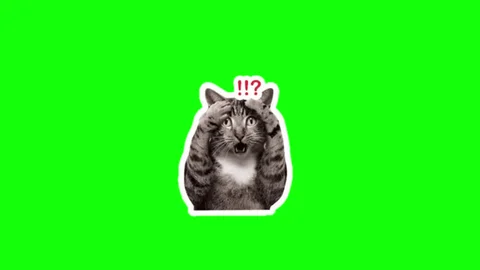 6.webp