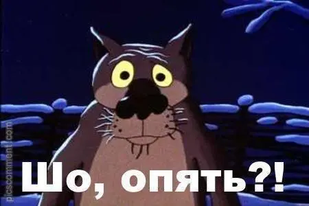 65061424936906.webp