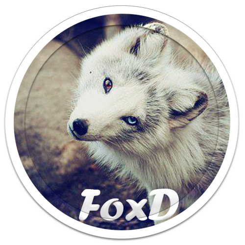 6543456754.webp