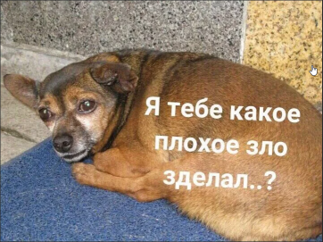 66666.webp