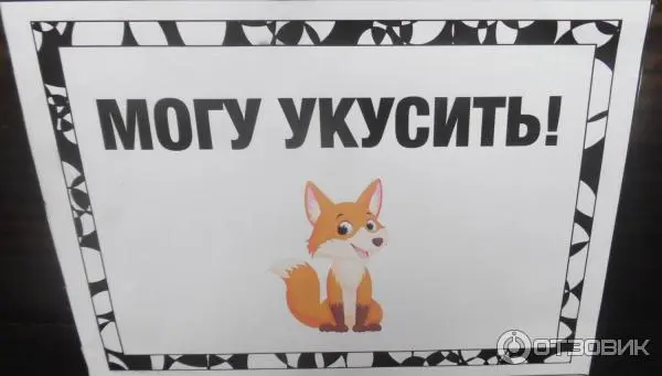 68230366.webp