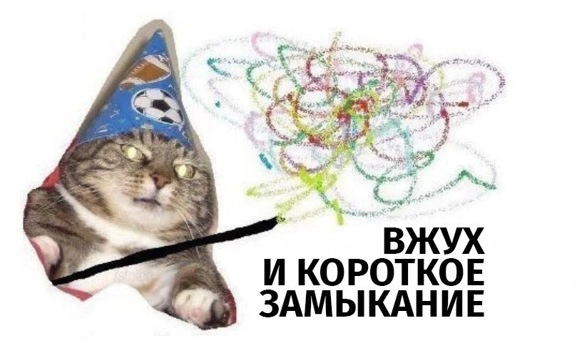 6850f1513c554f8f8e6d7d2b339ae0ec.webp