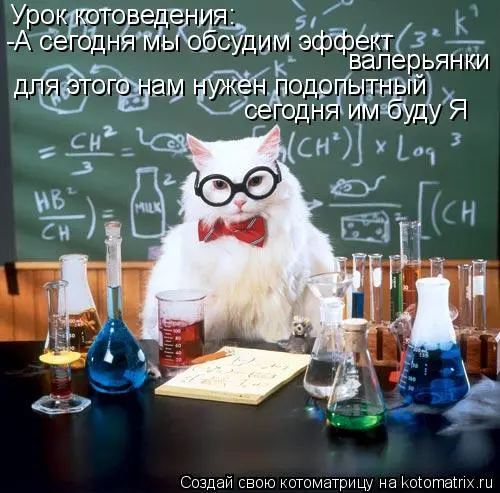 689550.webp