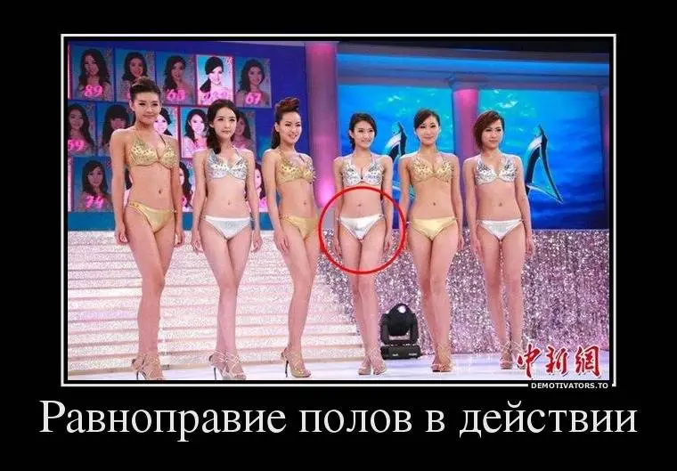 6955.webp