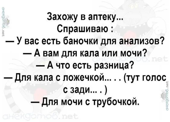 6b0dea5a008129106622944d25f4b9b4.webp
