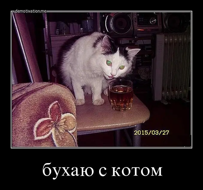 6iw8bqyt8mn5.webp