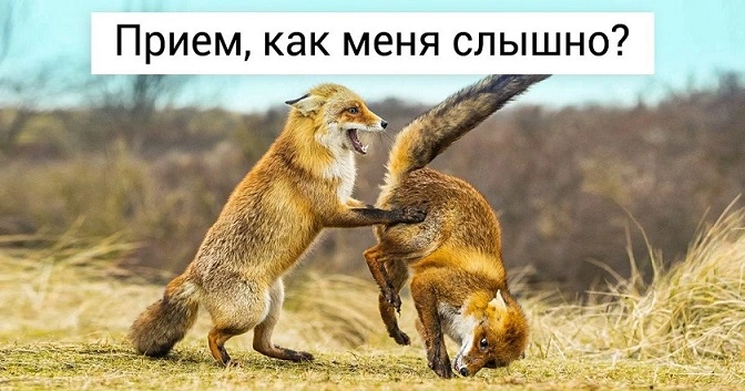 6r7nt8fu.webp