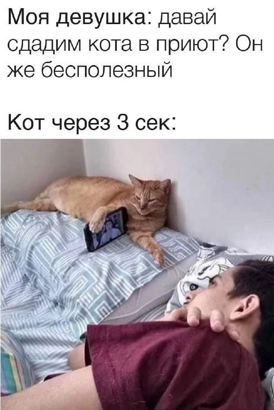 -6ryn_uKTsw.webp