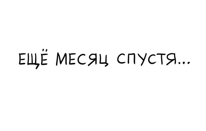 7.webp
