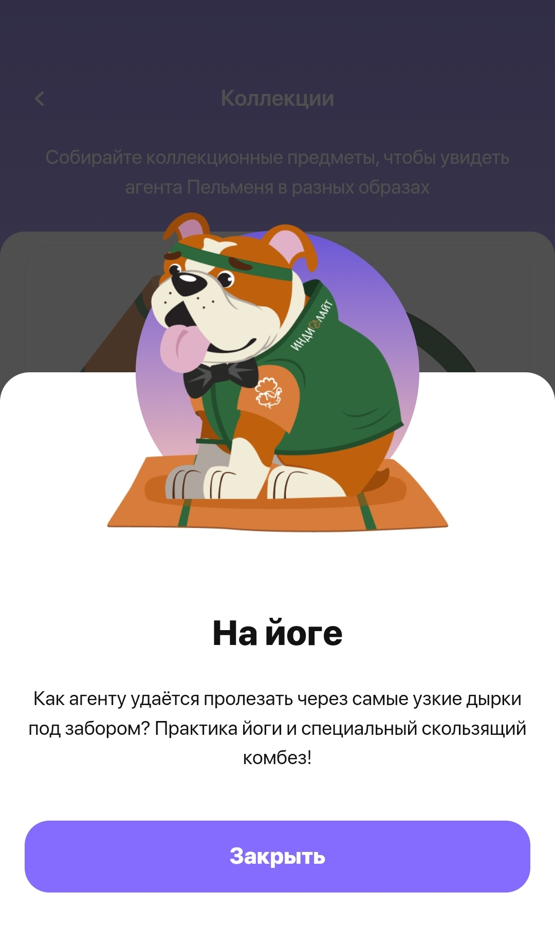 7.webp