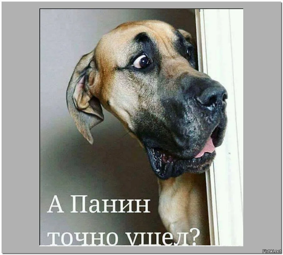 775a16dfd7a33c62e345a70f4a35d992.webp