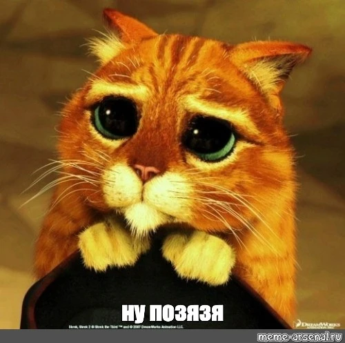 7823d7960fb645fac50b687a74ad51d8.webp