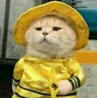 786785674g687fu.webp