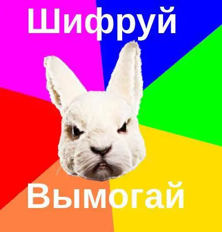 7cd0_qyznxw4gflnkjru1sze-s8.webp