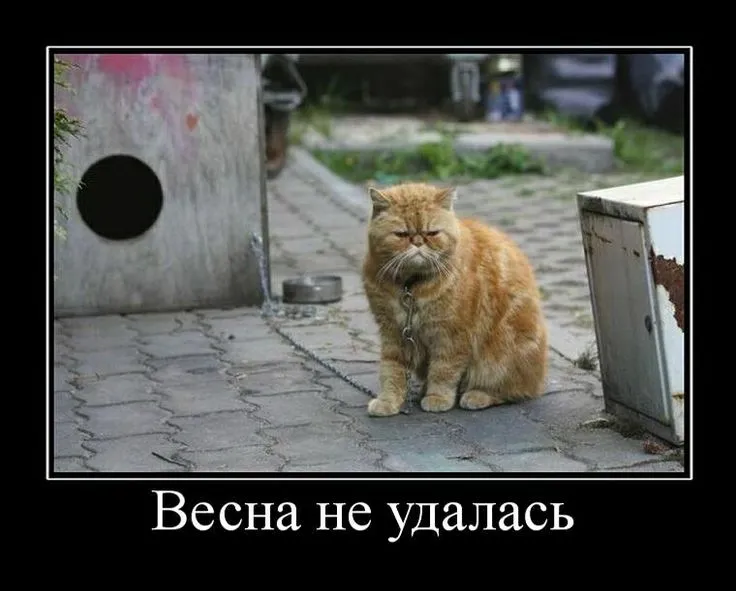 7e1c649cc3baadcec66a95d489825be0.webp
