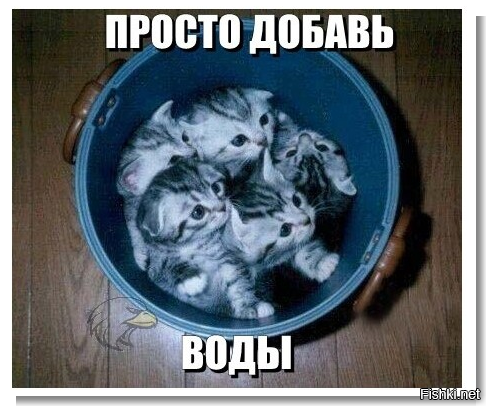 7eb5dc2169f55daacba9458c3ba4efc9.webp