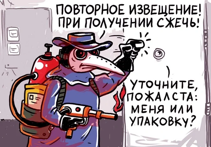 8.webp