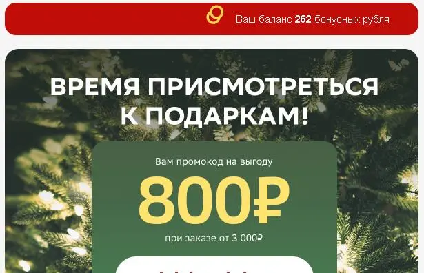 800.webp