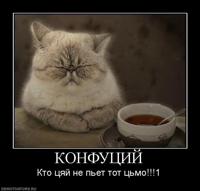 800367_konfutsij.webp