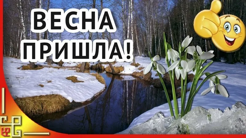 800x450 (1).webp