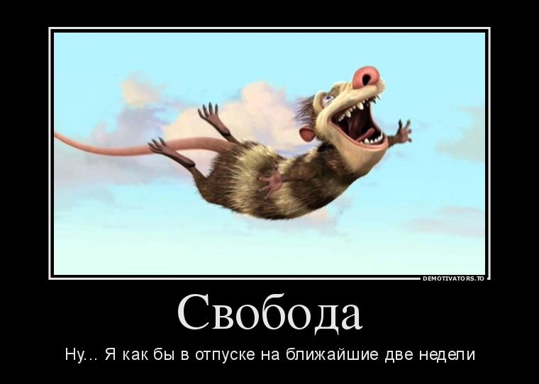 81856910.webp
