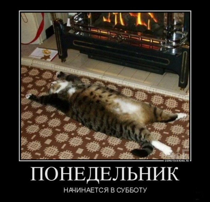 820712928e7ac7d15f30fb2dbf43da14-ponedelnik_nachinaetsya_v_subbotu.gallery.webp