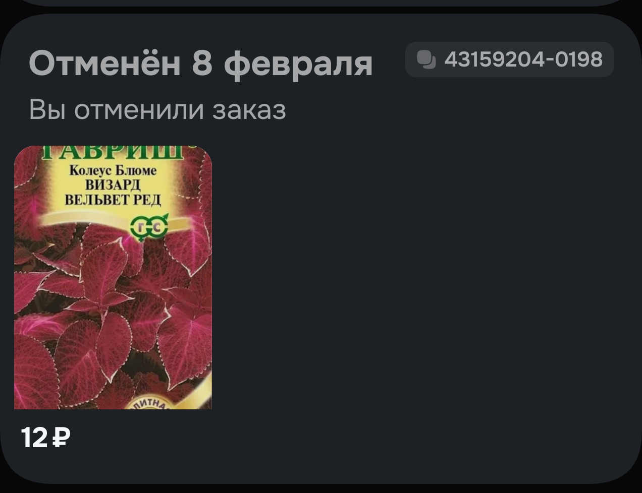 8231.webp