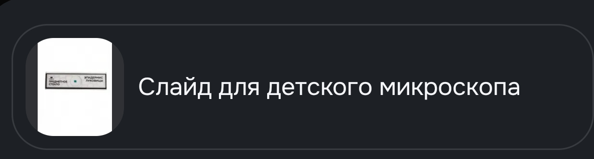 8237.webp