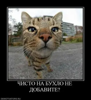 831418_chisto-na-buhlo-ne-dobavite.thumbnail.webp