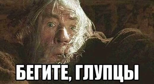 83379C18-98E0-48DA-BA1D-22F1607D7E33.webp