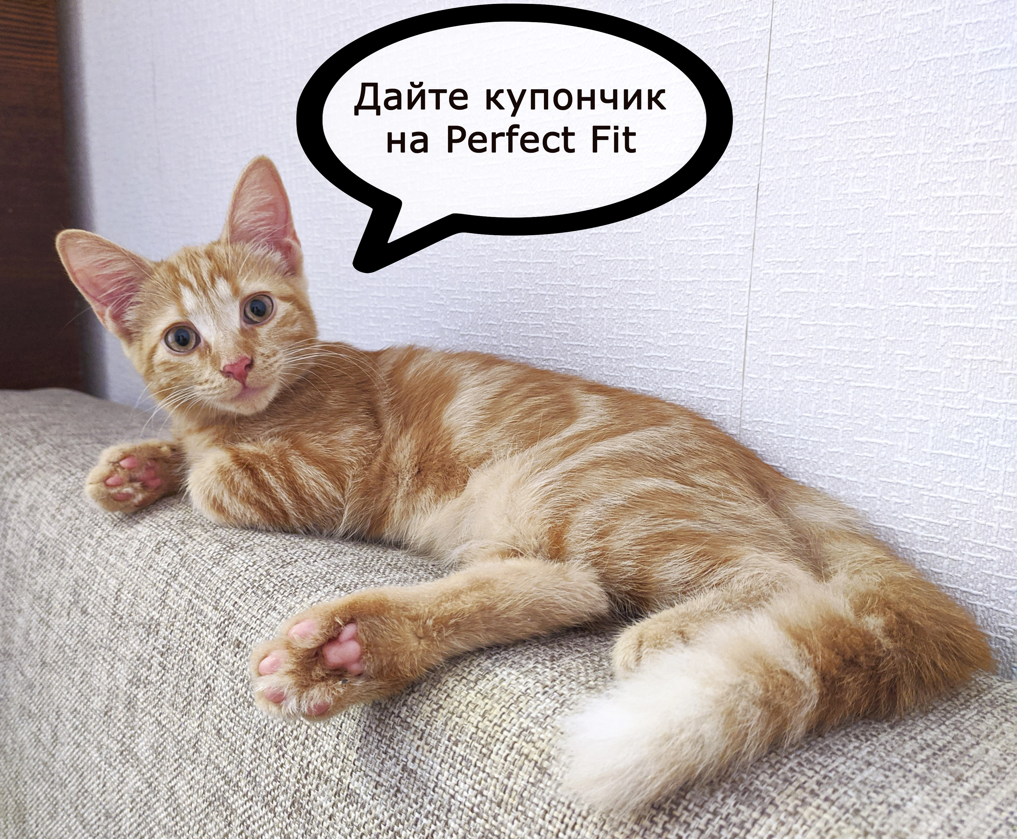 84.webp