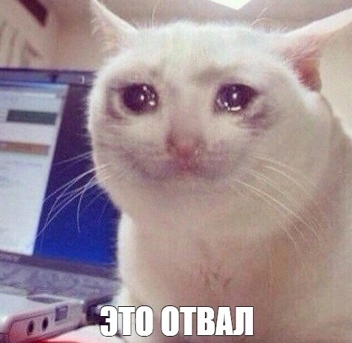 88e8fd9e892e4e6cc6bb8268e147fd34.webp