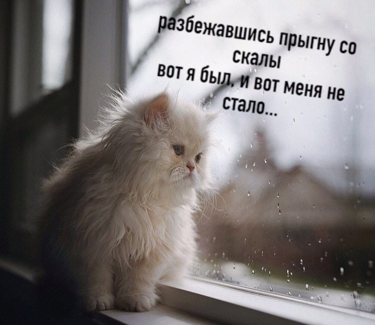 89433626.webp