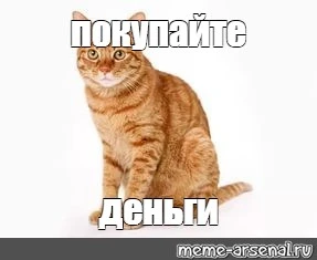 8cf4649aec35b1f99c703d1247565e64.webp