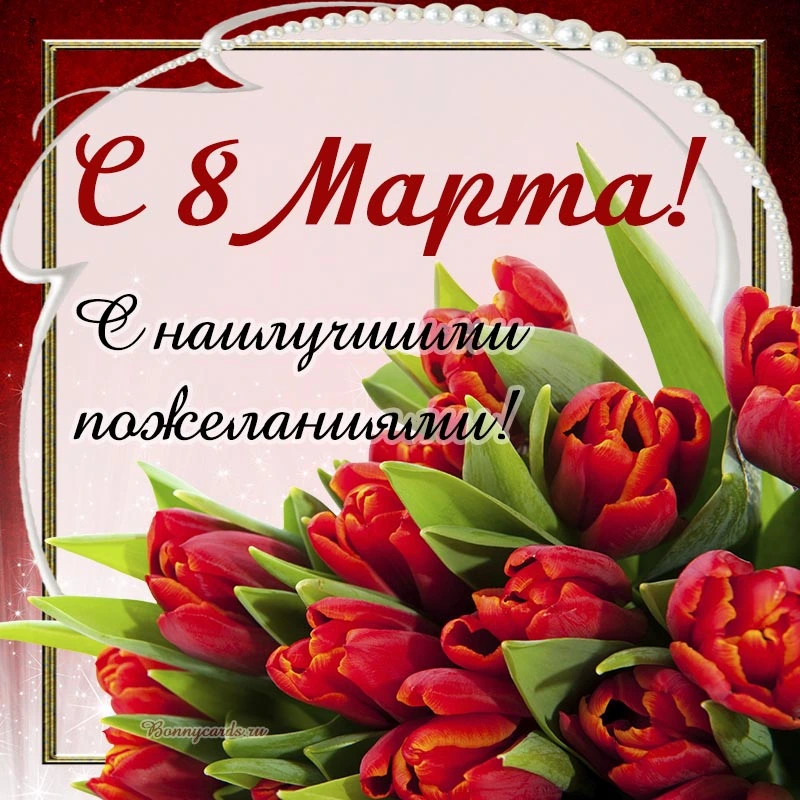 8marta0088.webp