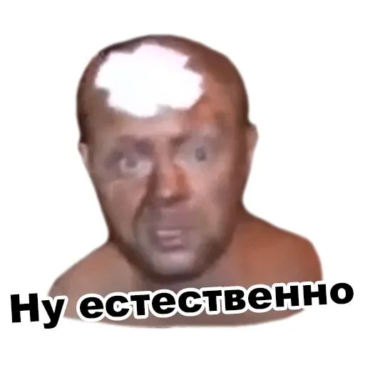 9.webp