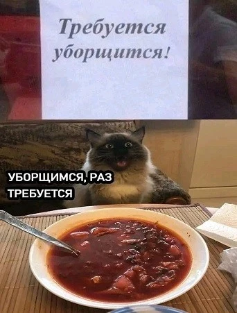 90df011988860e6a4b88dde65b17fc68.webp
