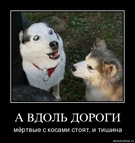 9194a88f174eceb1b9fd74bfd4b309d7_i-560.webp