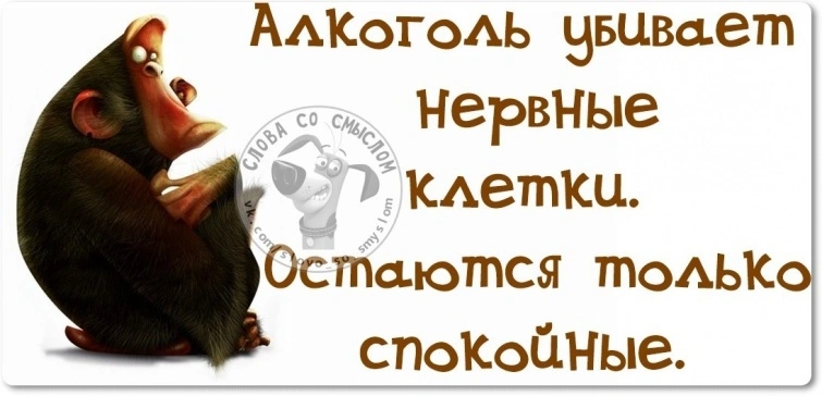 92699_900.webp